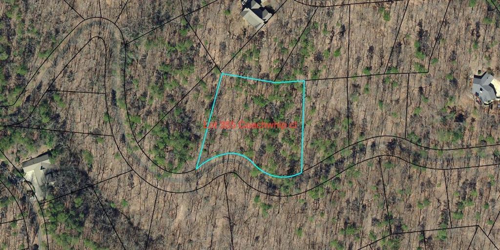 355 Coachwhip Trail - Photo 1