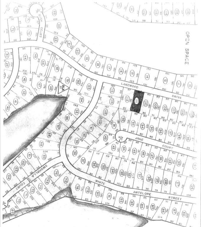 225 Lakewood Drive - Photo 1
