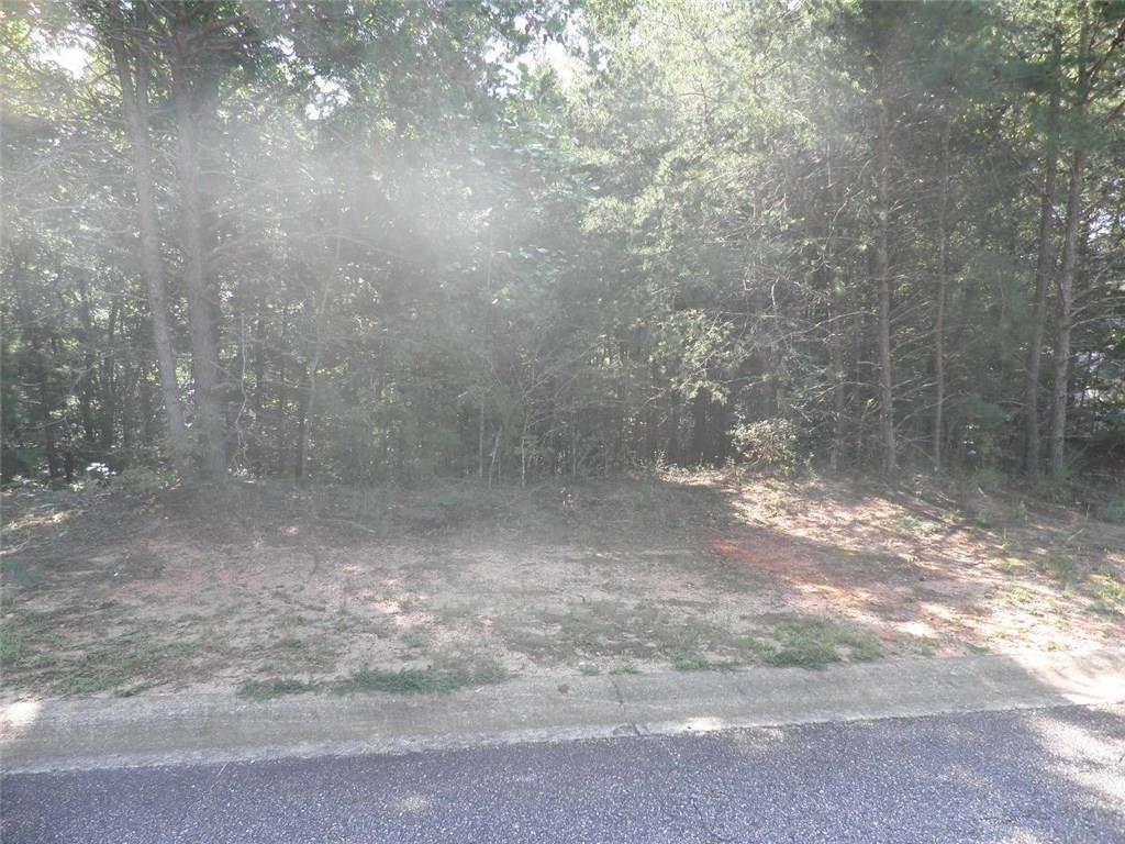 6073 Rockingham Way - Photo 1