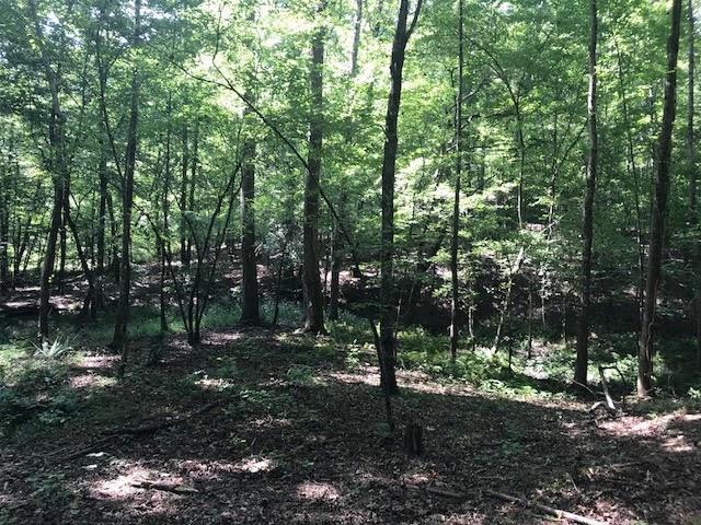 4.5 Ac Flatbottom Road - Photo 1