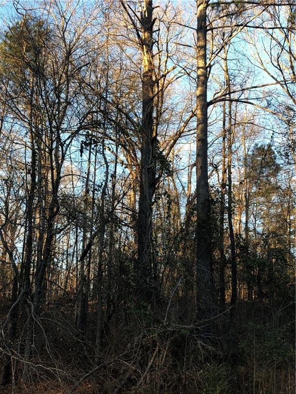 2662 Ward Lake Road - Photo 1