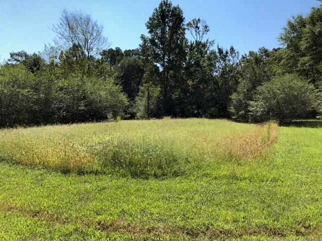 00 Harris Beamer Road - Photo 1
