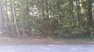4003 Veracruz Drive - Photo 1
