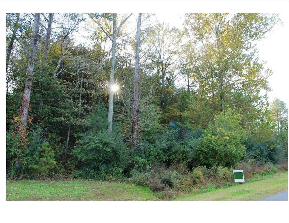 0 Pleasant Valley Road - Photo 1