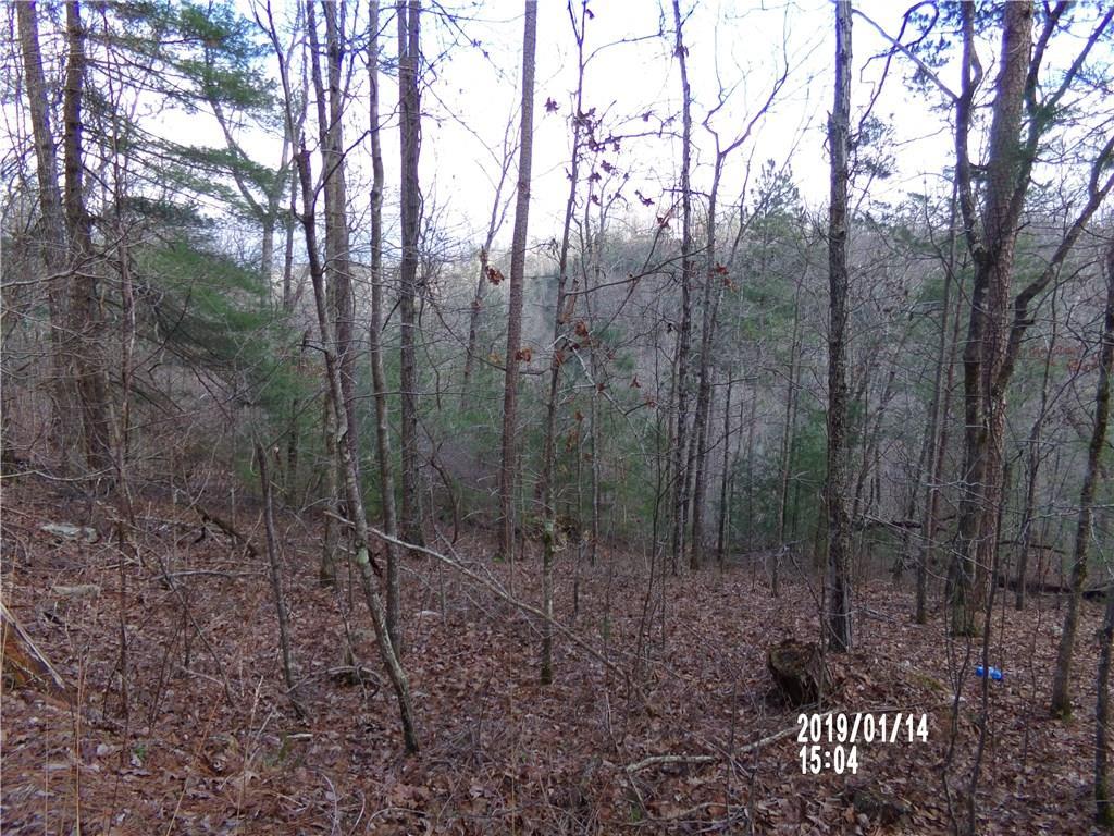 868 Bolster Lane - Photo 1