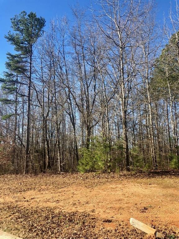 6025 Fairway Park Lane - Photo 1