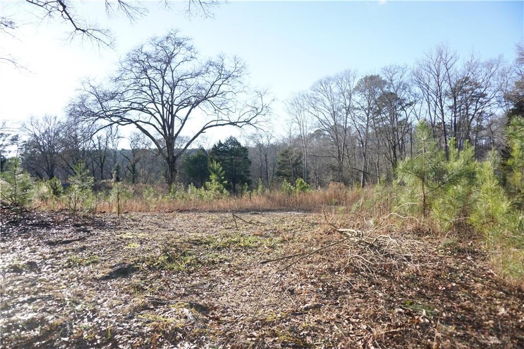 1227 Norris Lake Drive - Photo 1