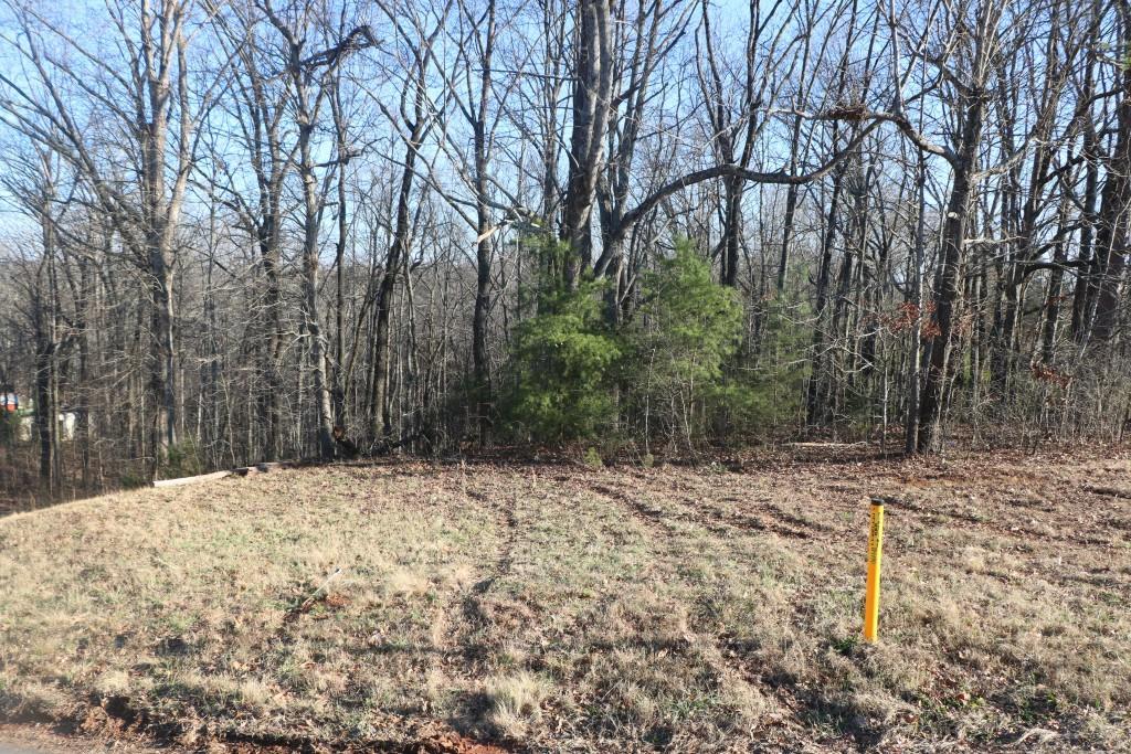 2536 Vaughandale Circle - Photo 1