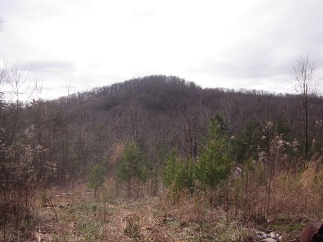 1429 Sutton Road - Photo 1