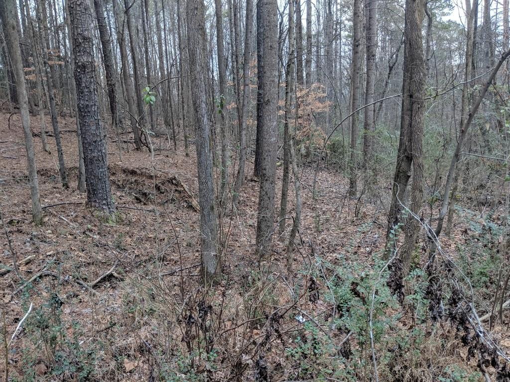 660 Lake Drive - Photo 1