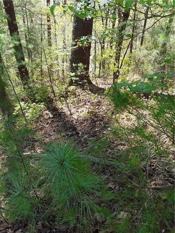 808 Nettle Lane - Photo 1