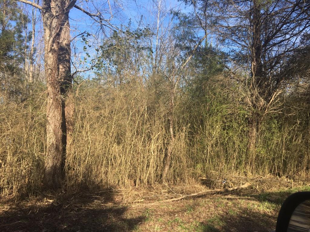 0 Wynn Loop - Photo 1