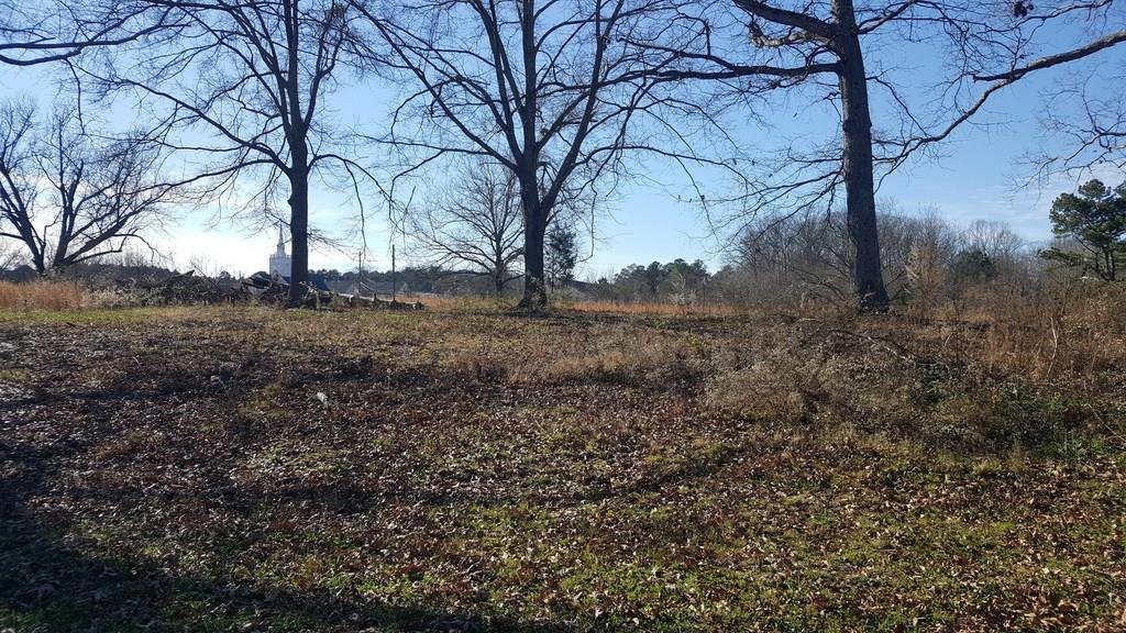 3151 81 Highway - Photo 1