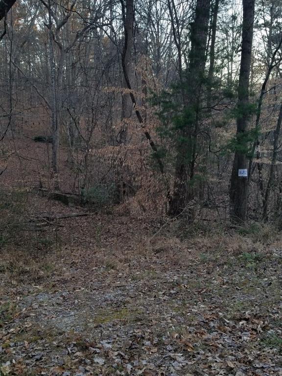 1682 Thomas Drive - Photo 1
