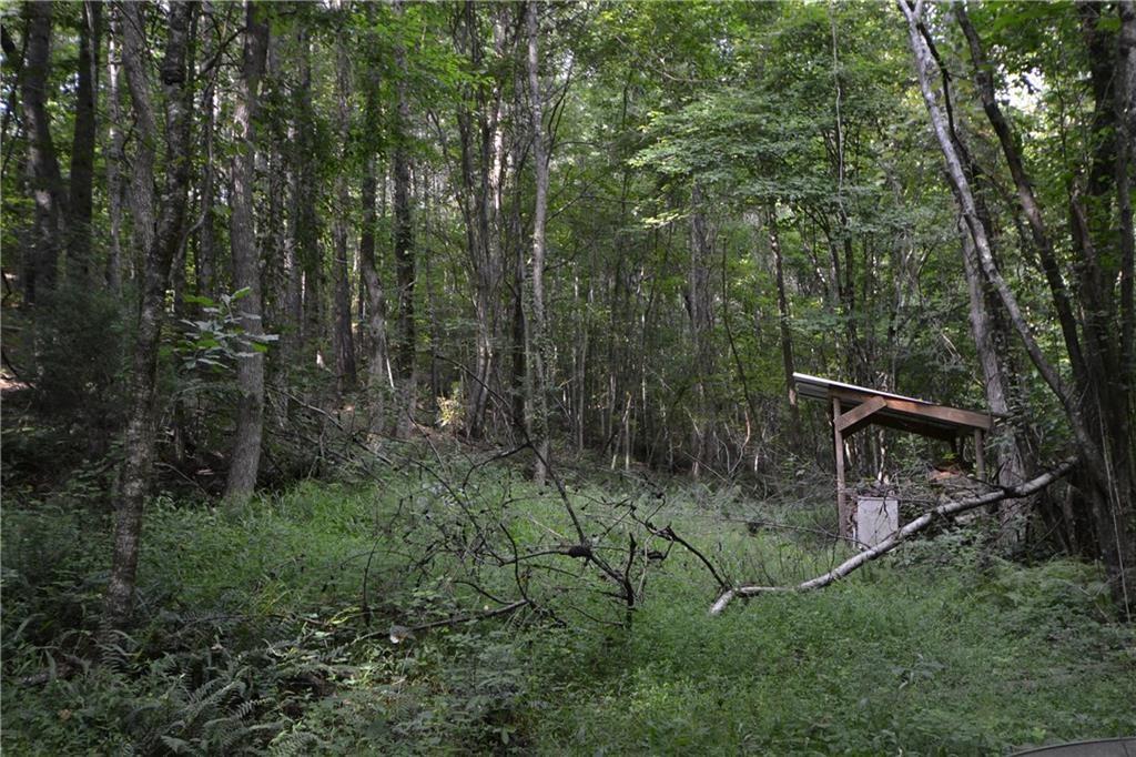0 136 Highway - Photo 1
