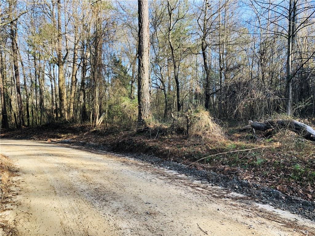 0 Hunter Road - Photo 1