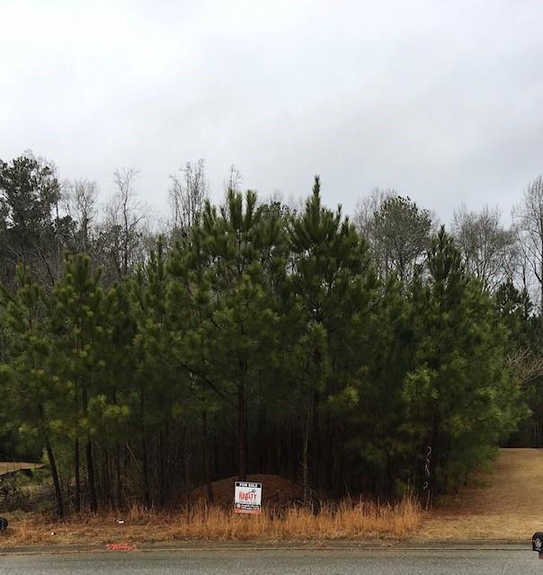 211 Mcbee Place - Photo 1