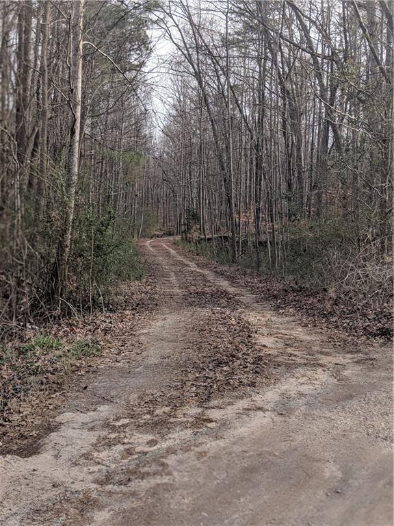 2455 Rosedale Lane Road - Photo 1