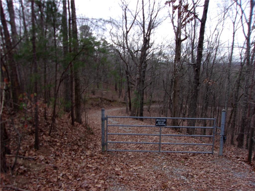 0 Family Acres Lane - Photo 1