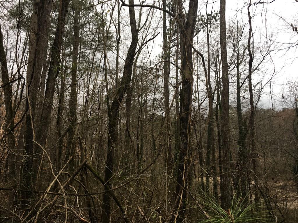0 Niskey Lake Road - Photo 1