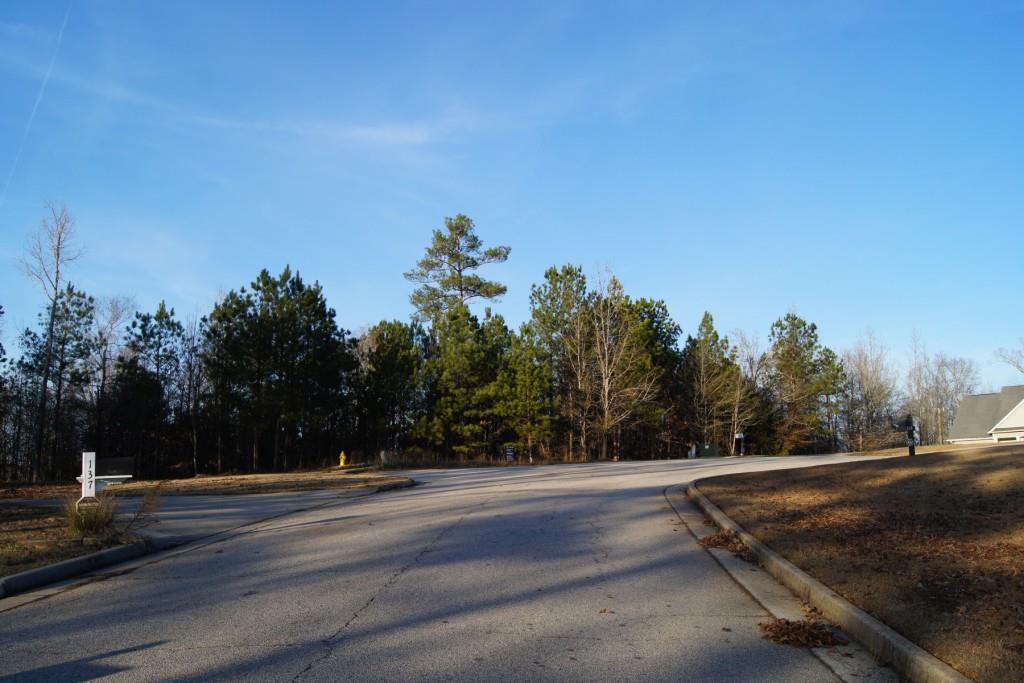 139 King Richard Drive - Photo 1