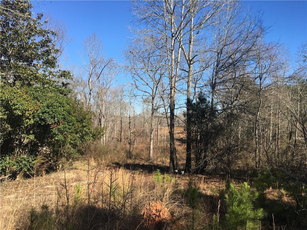 5511 Post Road - Photo 1