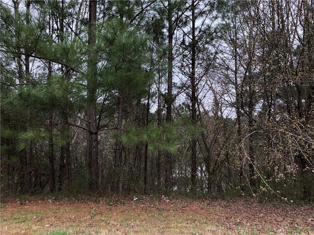3876 Misty Lake - Photo 1