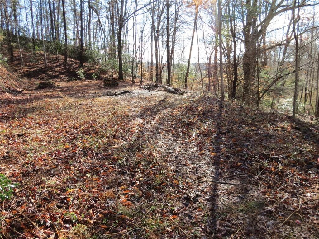 0 Givens Road - Photo 1