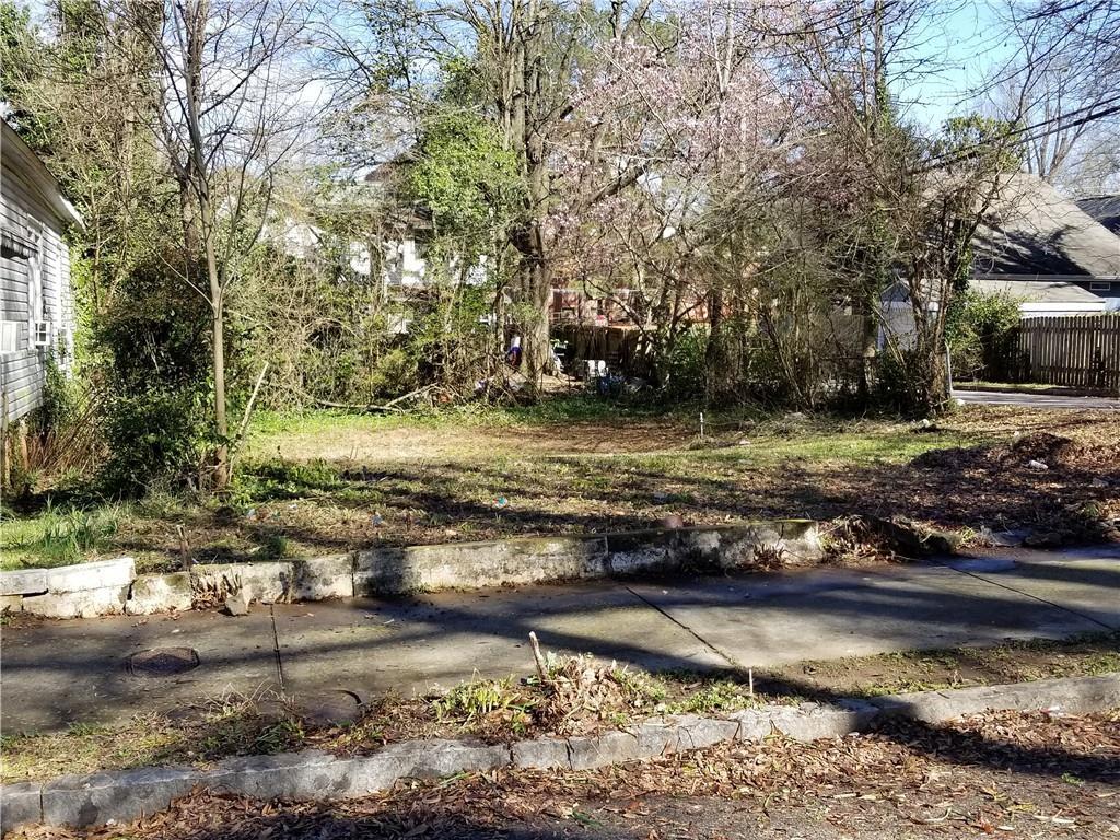 1003 Palmetto Avenue - Photo 1