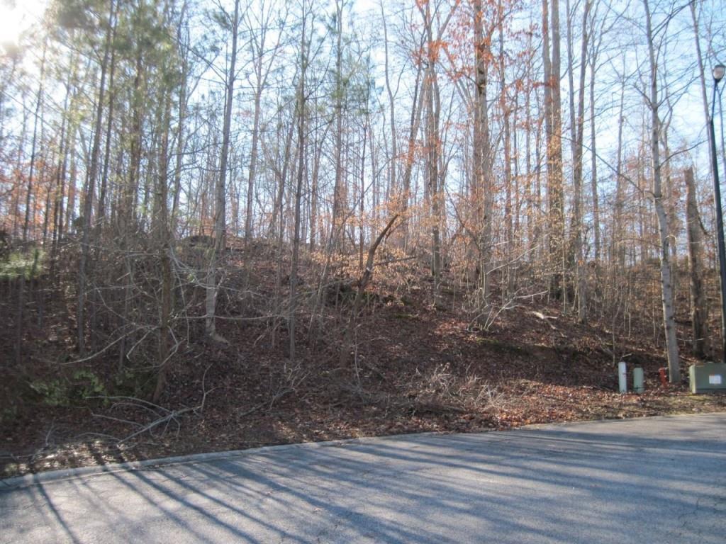 535 River Brooke Estates Parkway - Photo 1