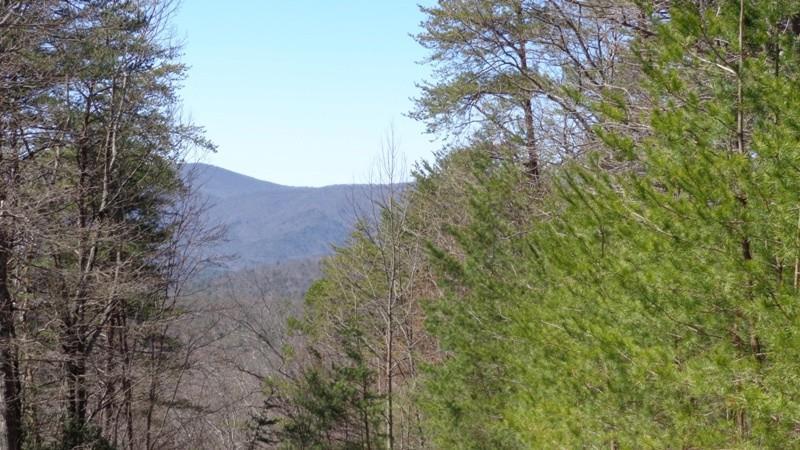 0 Wrens Ridge Circle - Photo 1