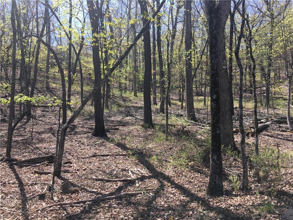 8116 Disharoon Drive - Photo 1