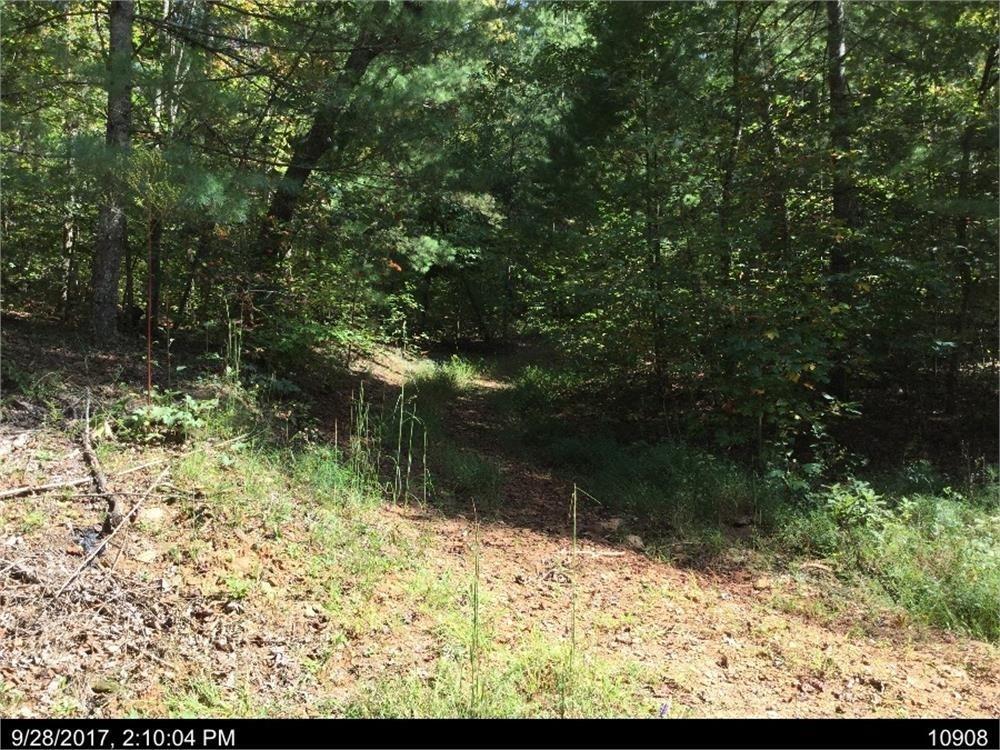 0 Charlottes Mountain Road - Photo 1