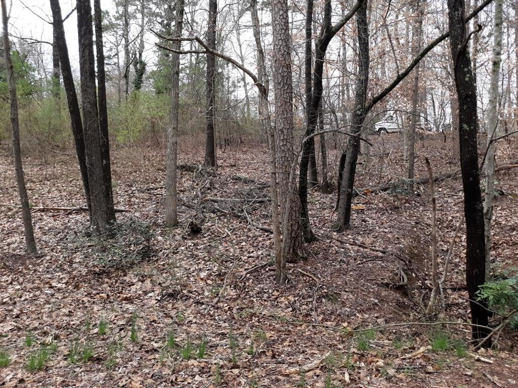0 Rock Creek Drive - Photo 1