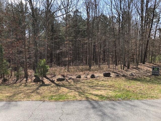 10 Percheron Trail - Photo 1