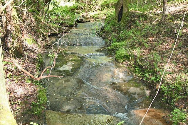 00 Castleberry Bridge Road - Photo 1