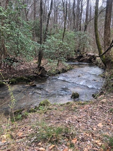 689 Garrett Branch Road - Photo 1