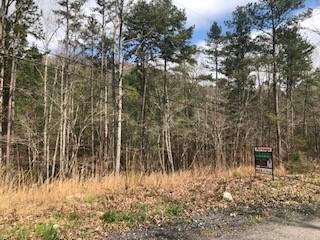 000 Connesena Road - Photo 1