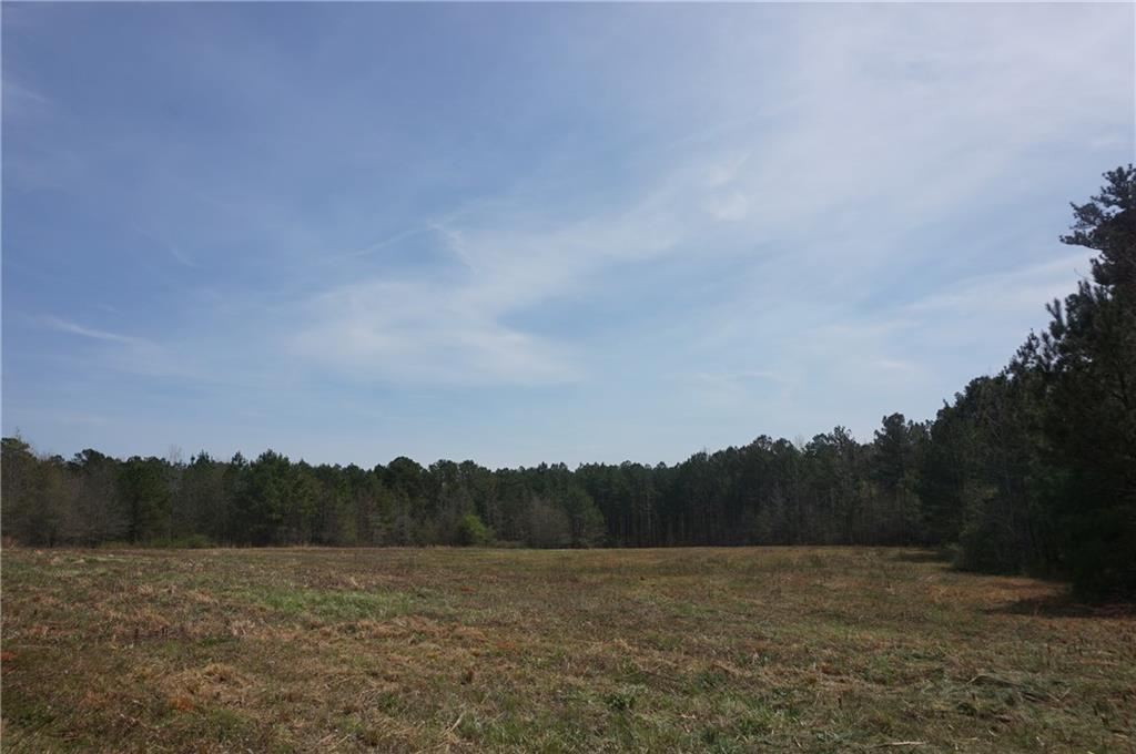 300 Old Social Circle Road - Photo 1
