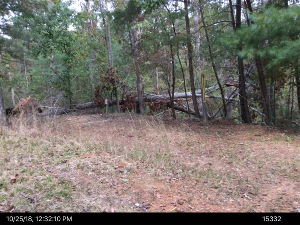 449 10th - Photo 1