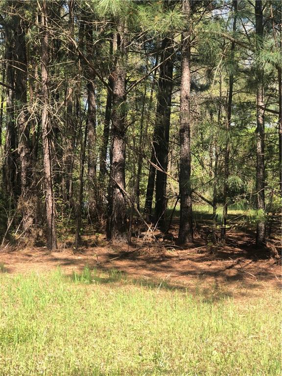 123 Sugar Creek Trail - Photo 1