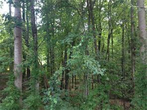 4145 C Rogers Road - Photo 1