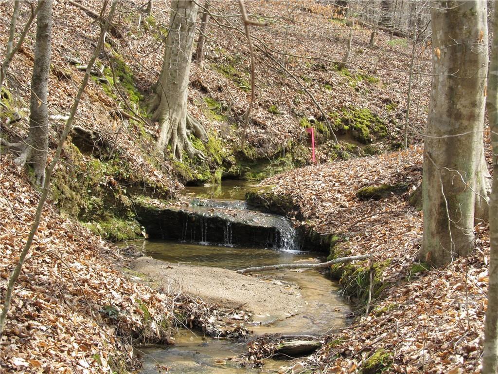 6345 Hwy 20 Road - Photo 1