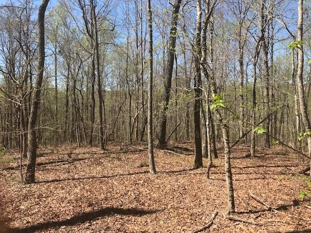 01 Price Creek Trail - Photo 1