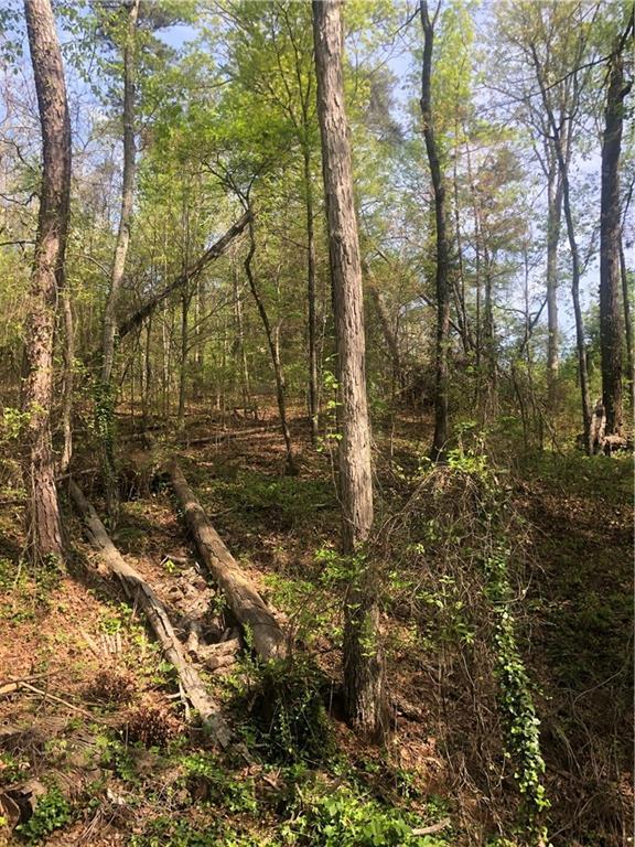 184 Falcon Creek Trail - Photo 1
