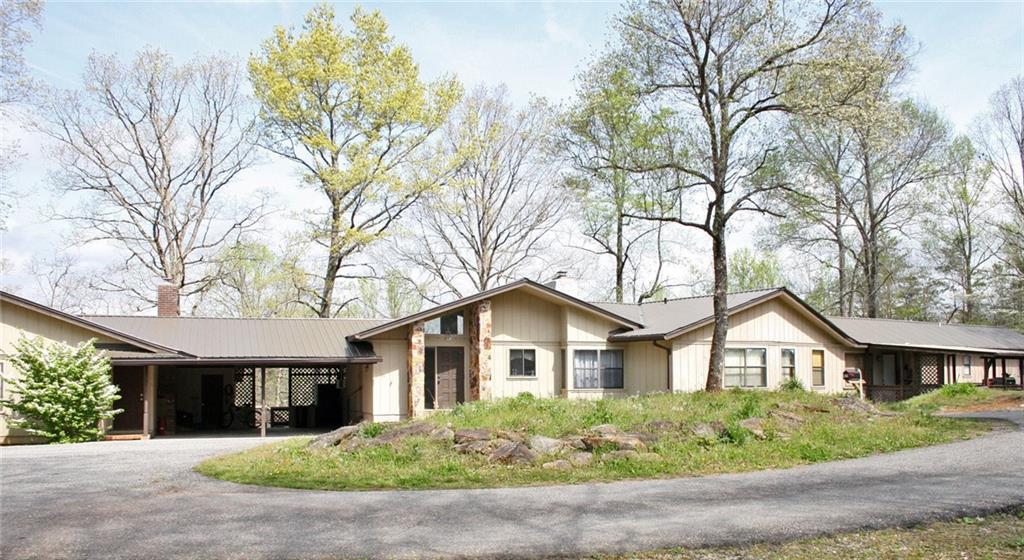 51 Wintersweet Drive - Photo 1