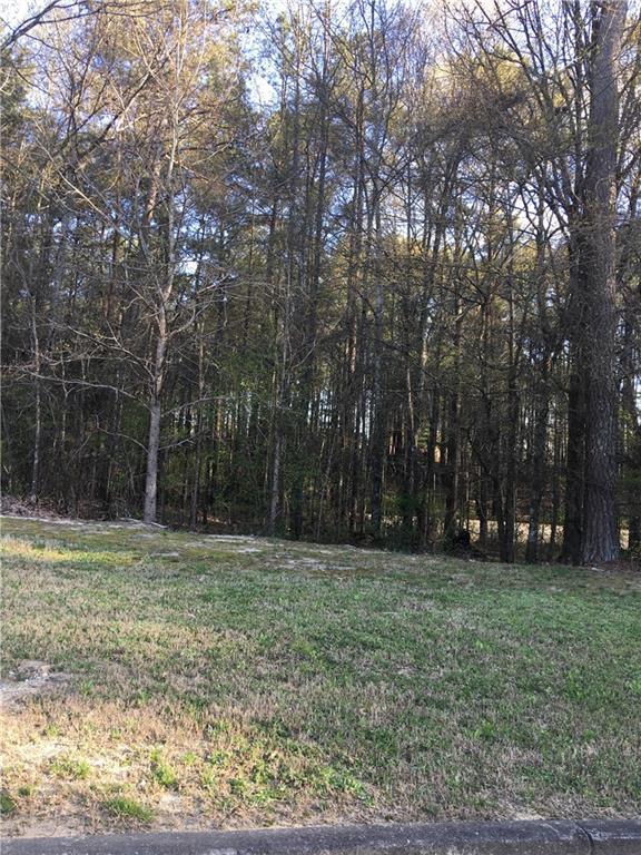3292 Creek Trace - Photo 1