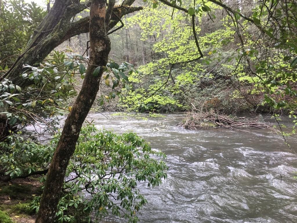 0 Neshoba Court - Photo 1
