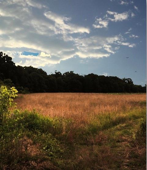 0 Long Station Road - Photo 1