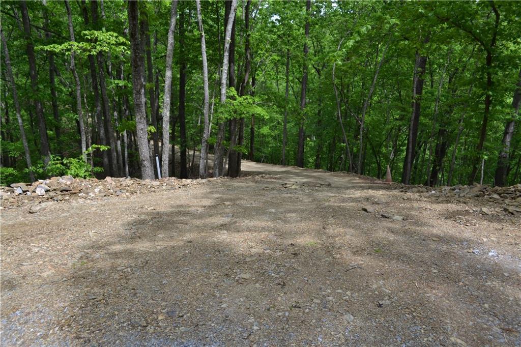 000 Paris Mountain Road - Photo 1